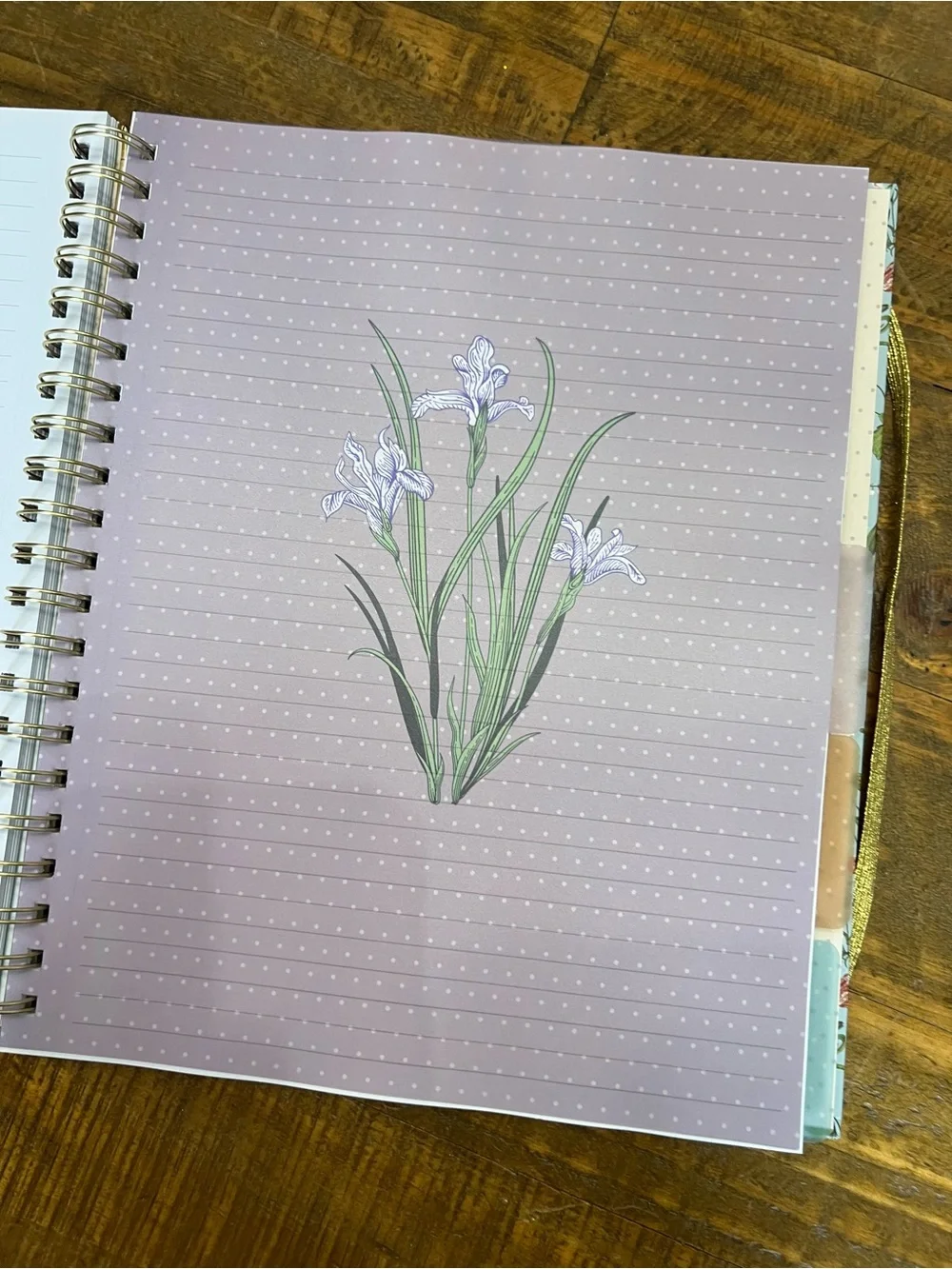 Floral Blue Hardcover Notebook with Gold Elastic: Deluxe Notebook Bundle